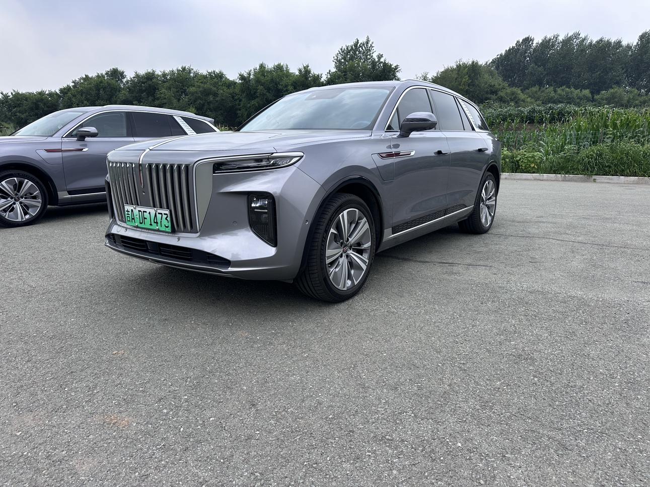 Hongqi E-HS9 2022 thumb 11