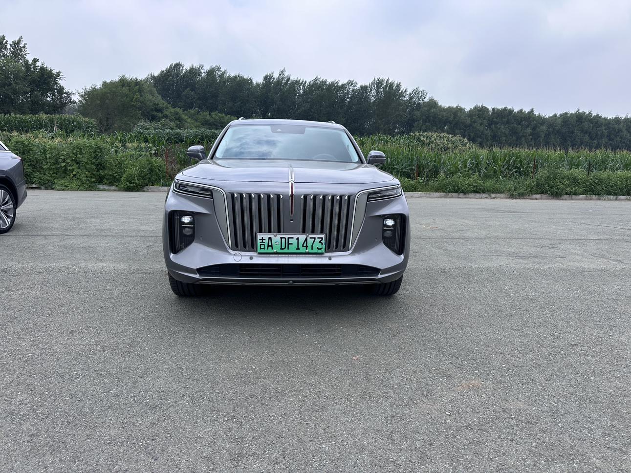 Hongqi E-HS9 2022 thumb 12