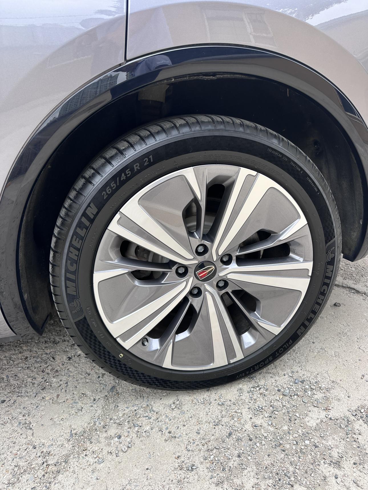 Hongqi E-HS9 2020 thumb 4