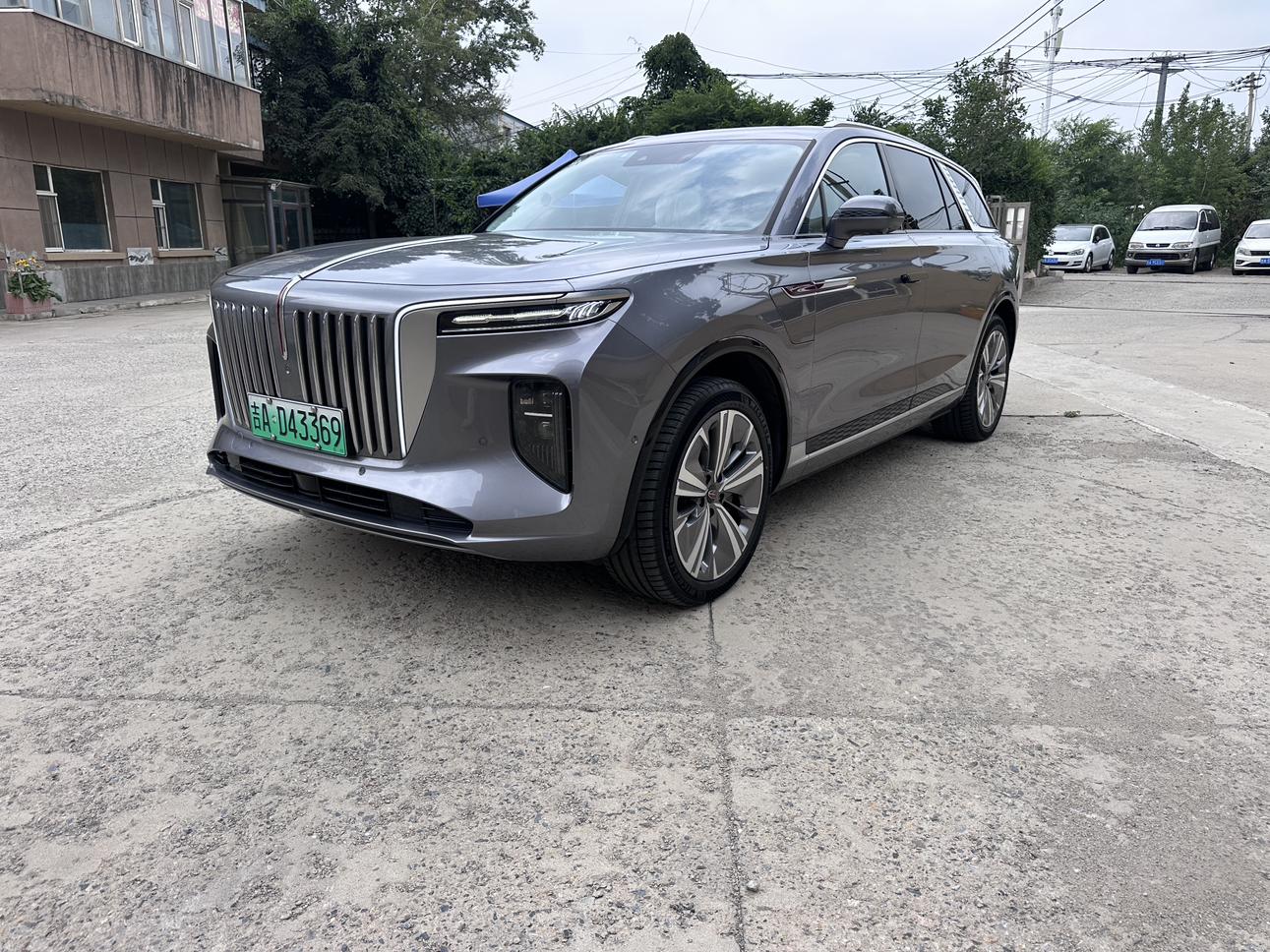 Hongqi E-HS9 2020 thumb 8