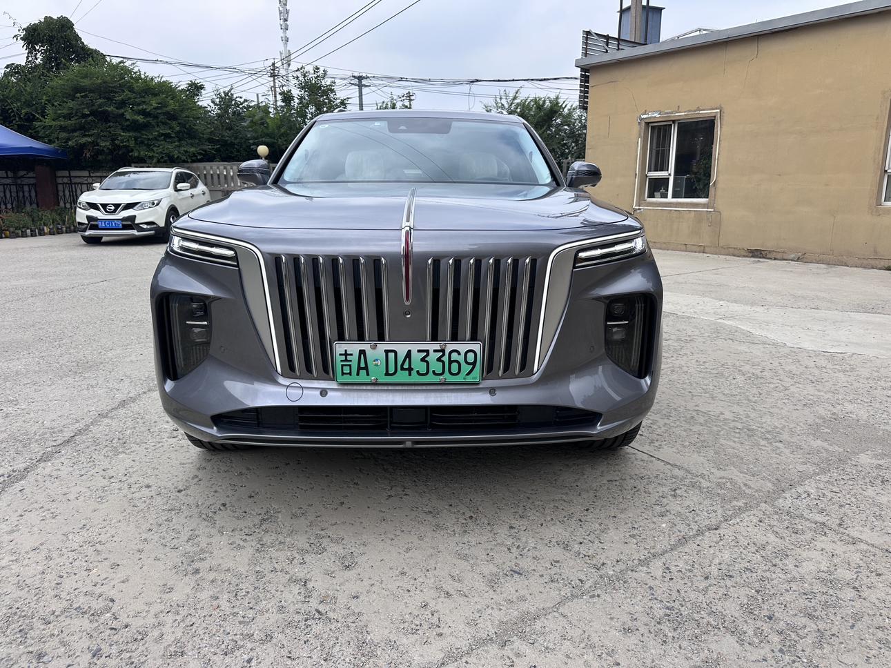 Hongqi E-HS9 2020 thumb 9