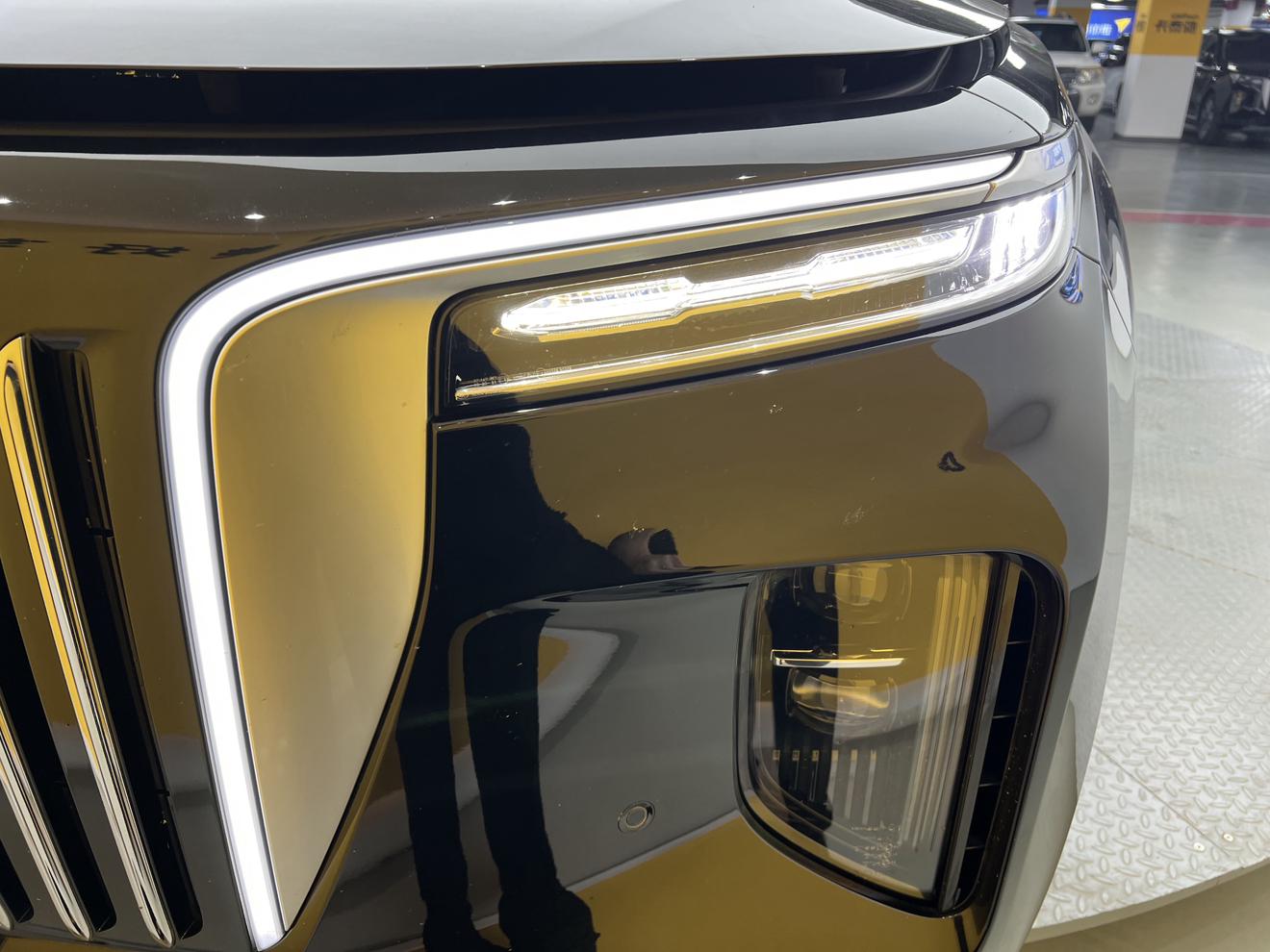 Hongqi E-HS9 2022 thumb 9