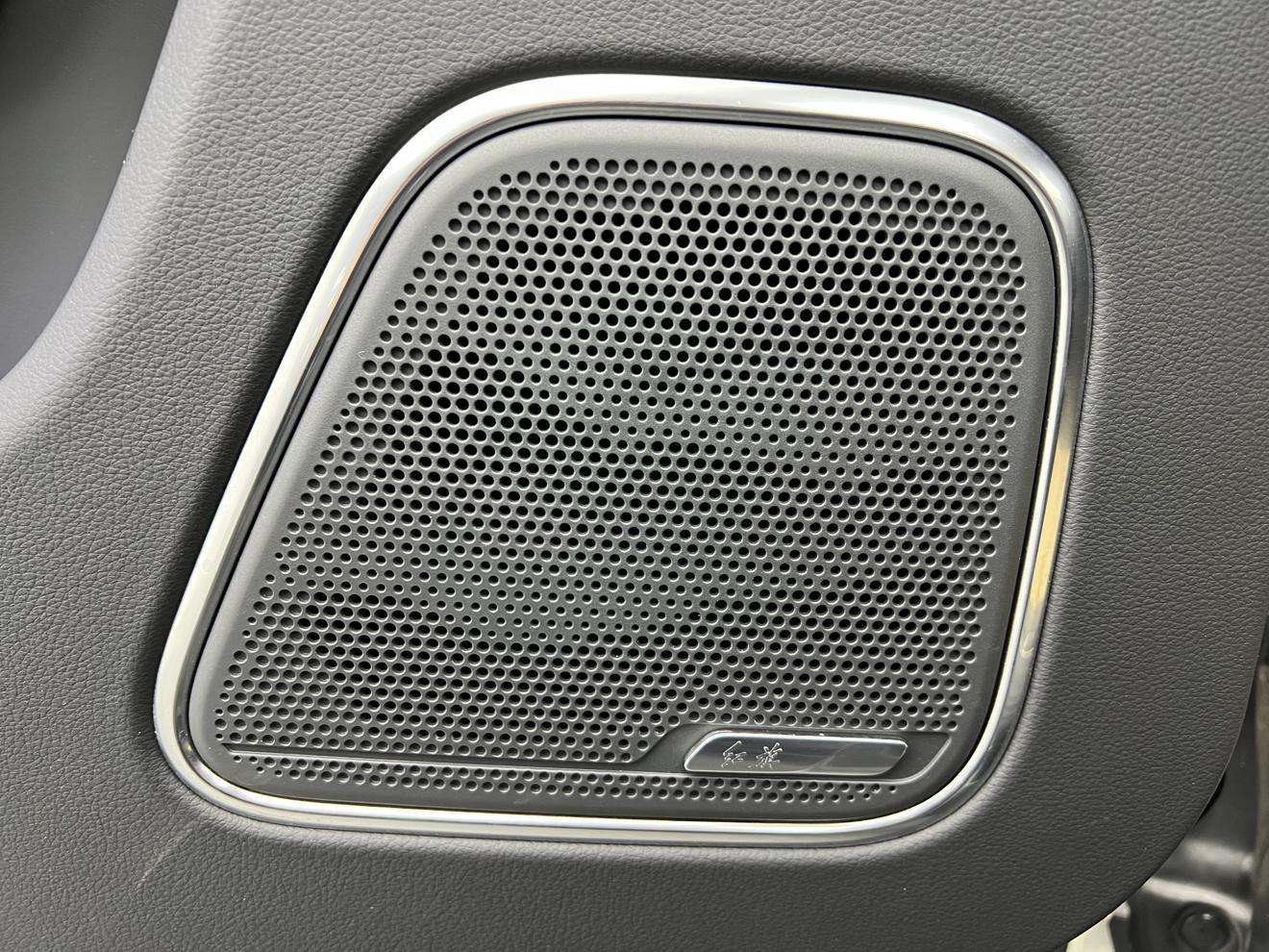 Hongqi E-HS9 2022 thumb 10