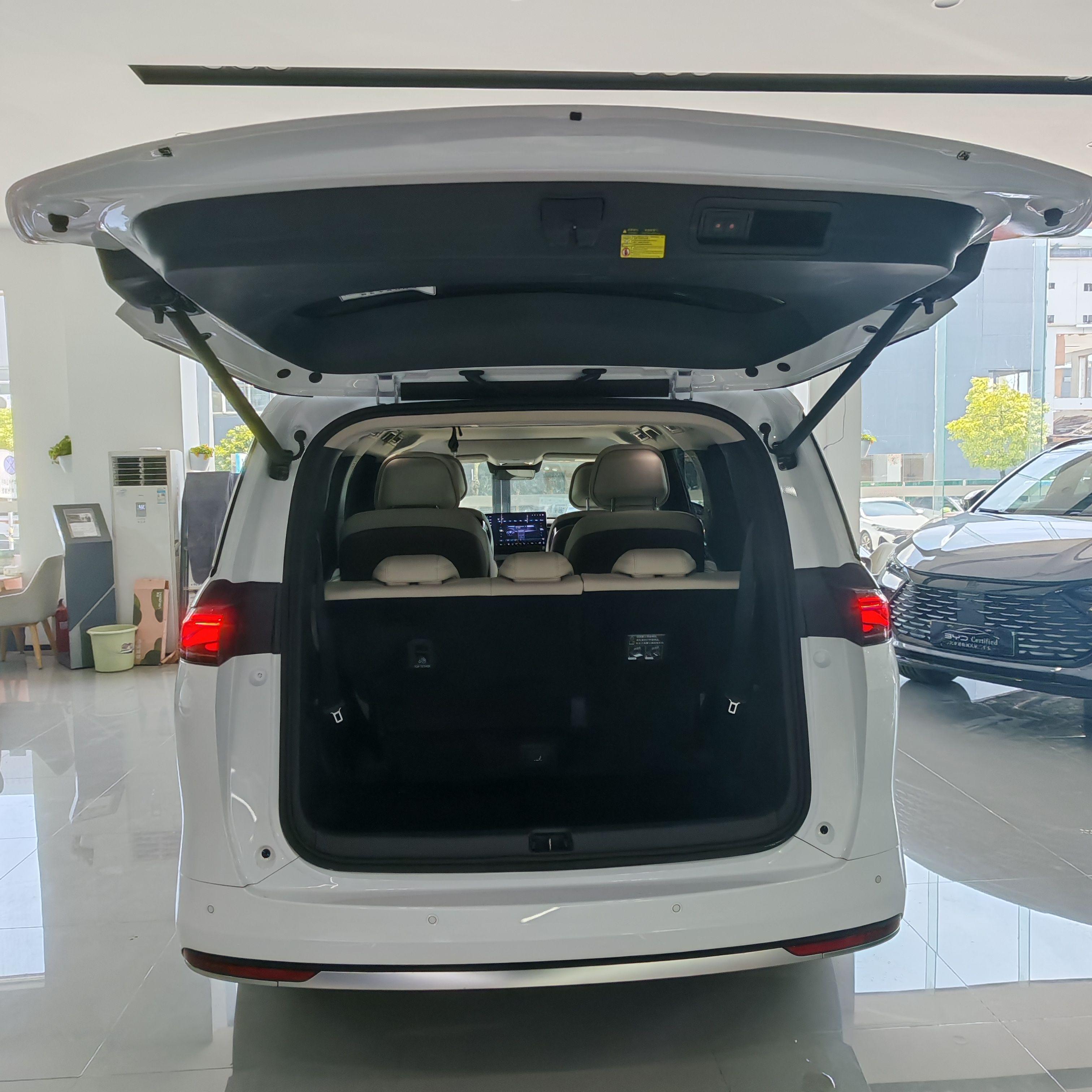 BYD Xia (M9) 2025 thumb 2
