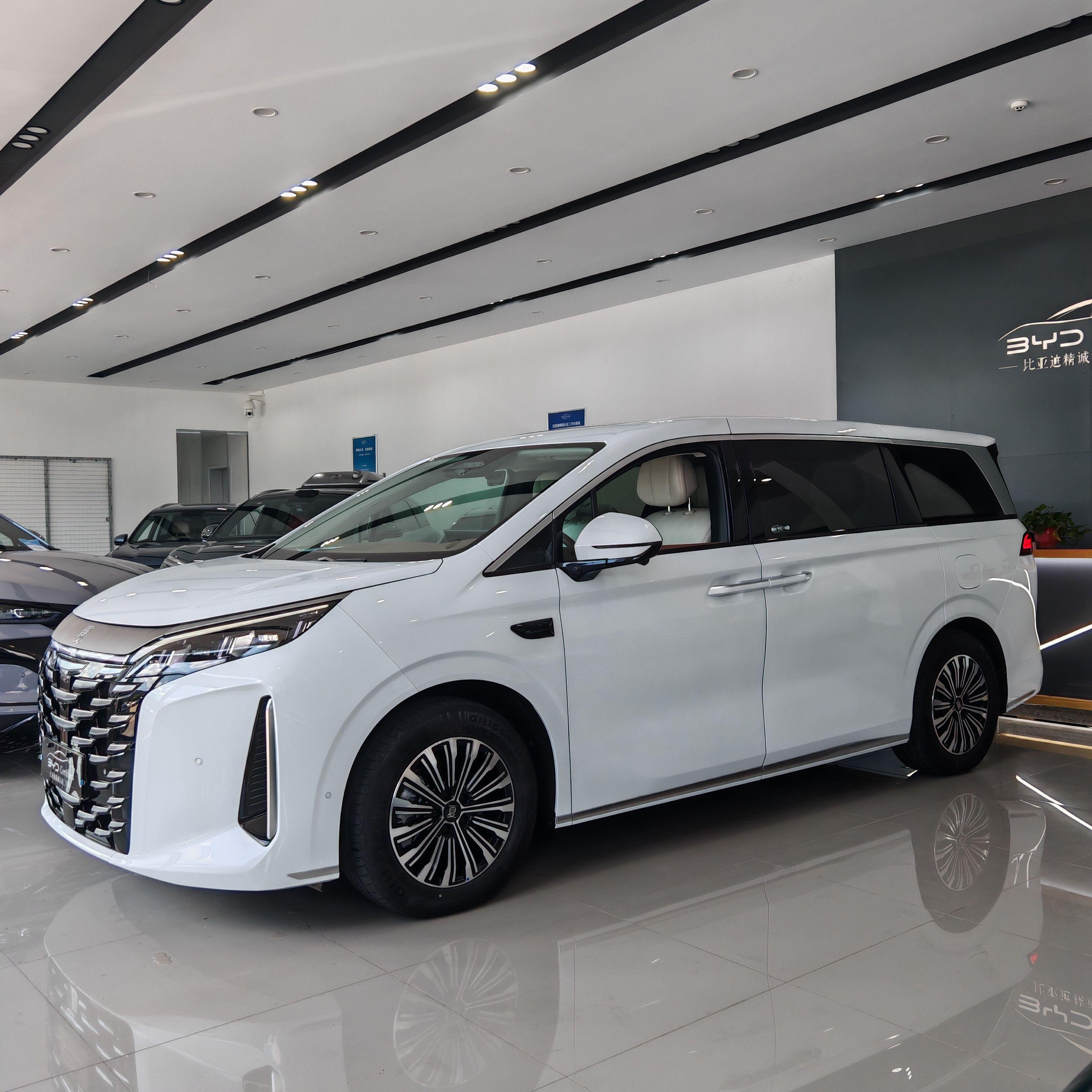 BYD Xia (M9) 2025 thumb 10