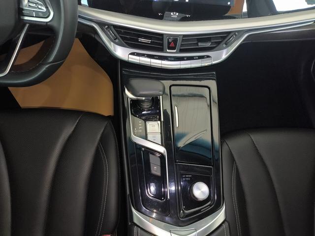 Geely Borui 2021 thumb 8