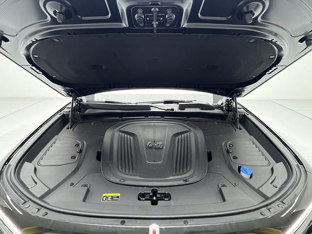Hongqi E-HS9 2022 thumb 8