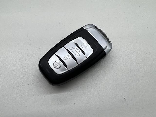 Hongqi E-HS9 2022 thumb 9