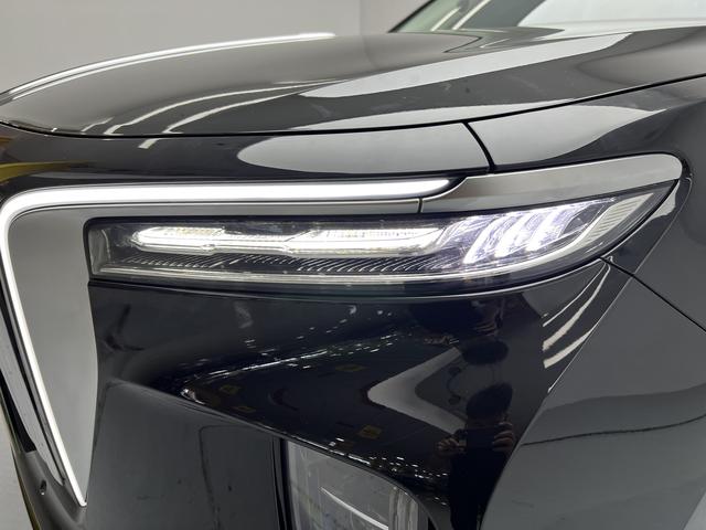 Hongqi E-HS9 2022 thumb 10