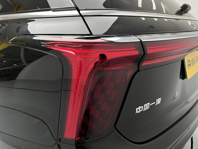 Hongqi E-HS9 2022 thumb 11