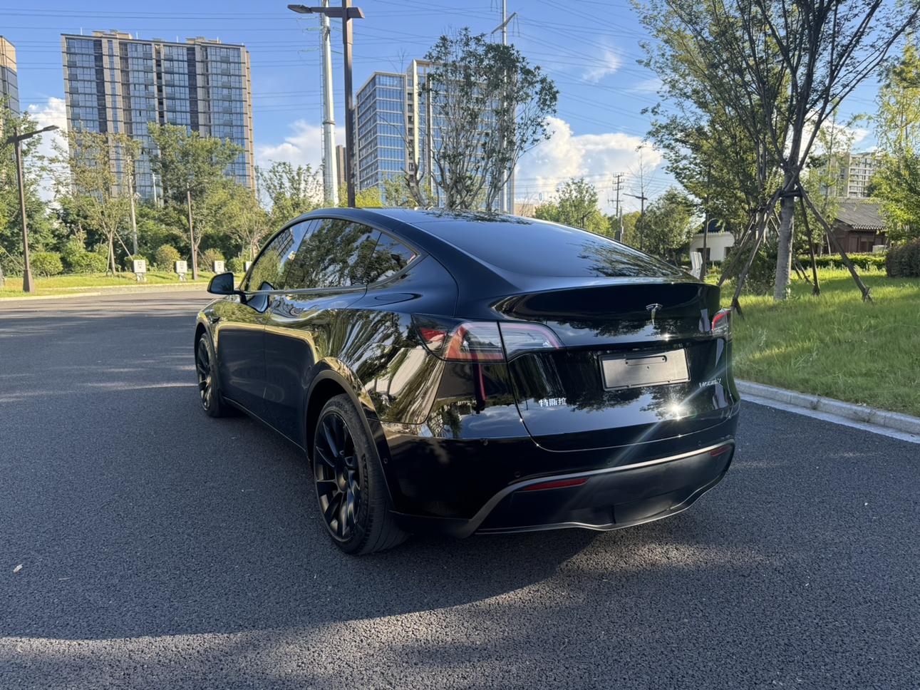 Tesla Model Y 2022 thumb 2
