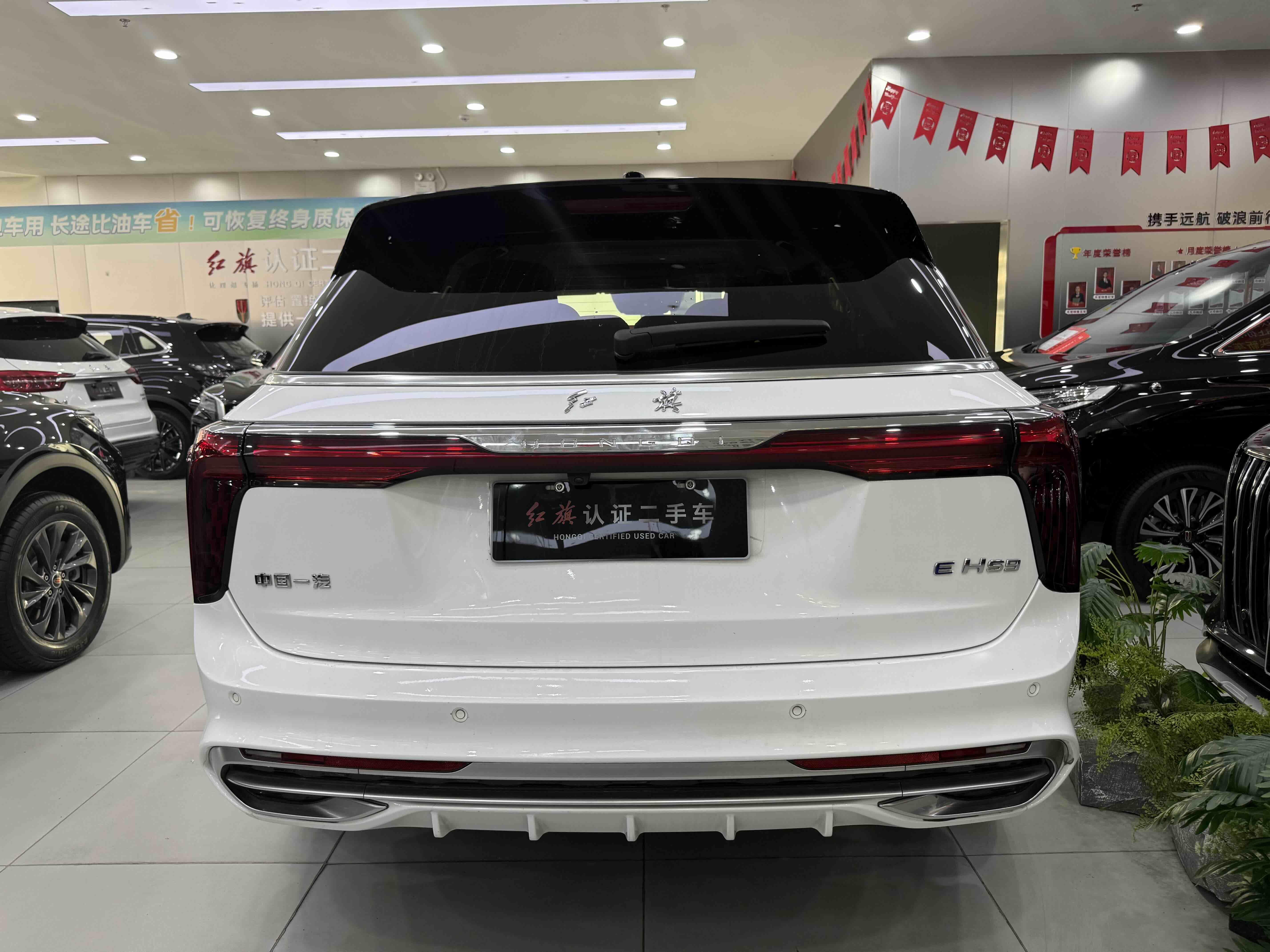 Hongqi E-HS9 2020 thumb 2