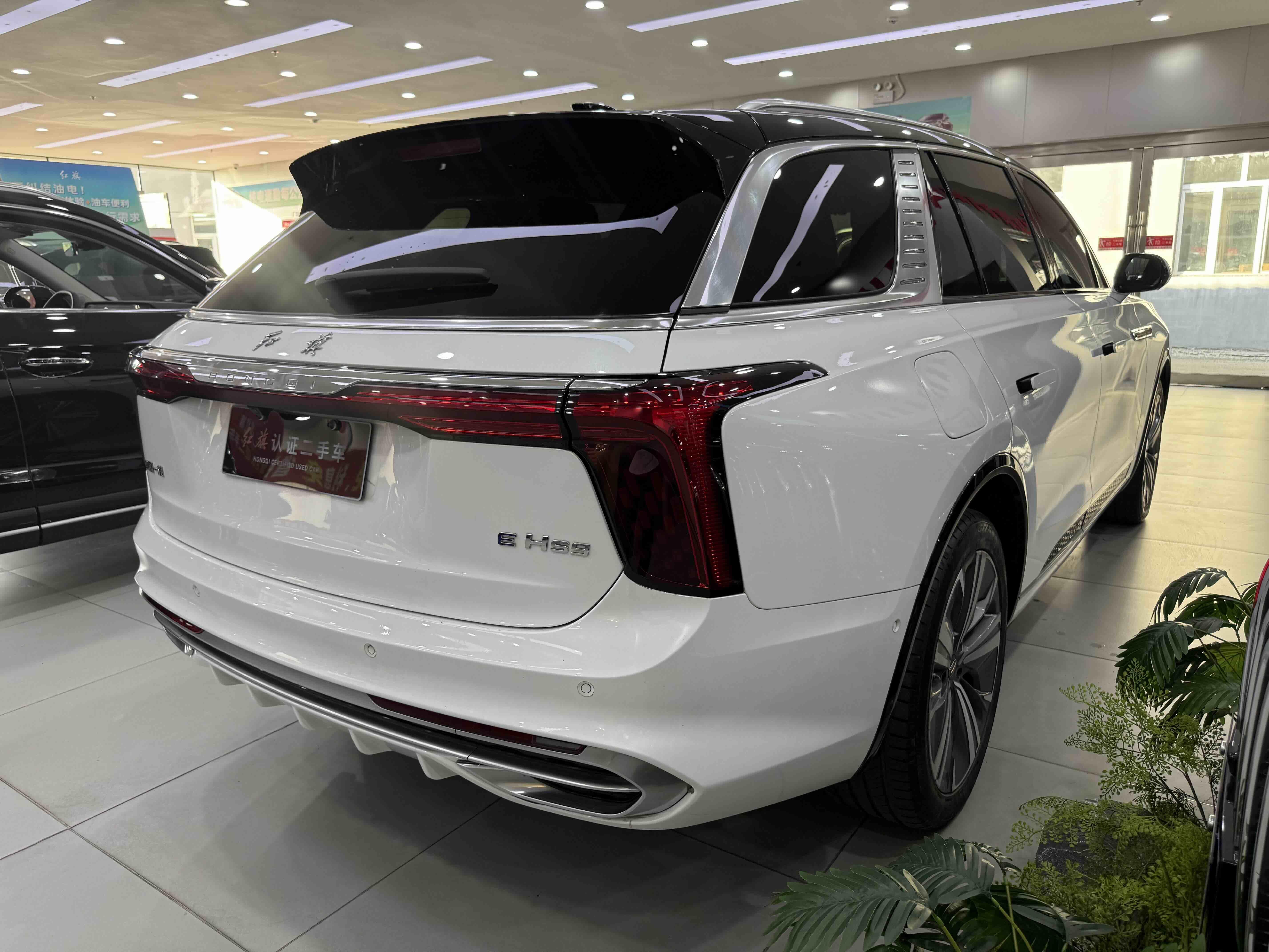 Hongqi E-HS9 2020 thumb 3