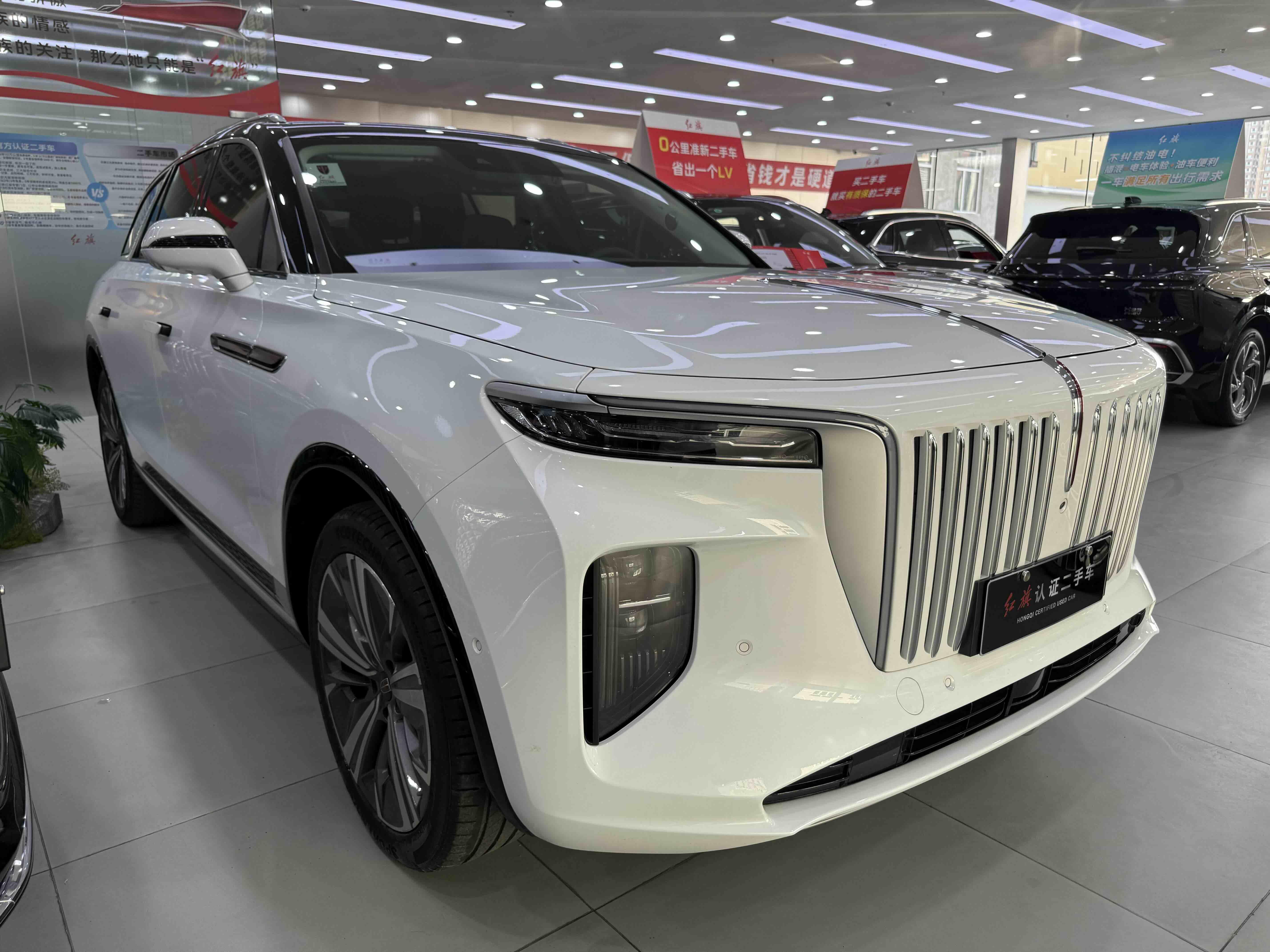 Hongqi E-HS9 2020 thumb 11