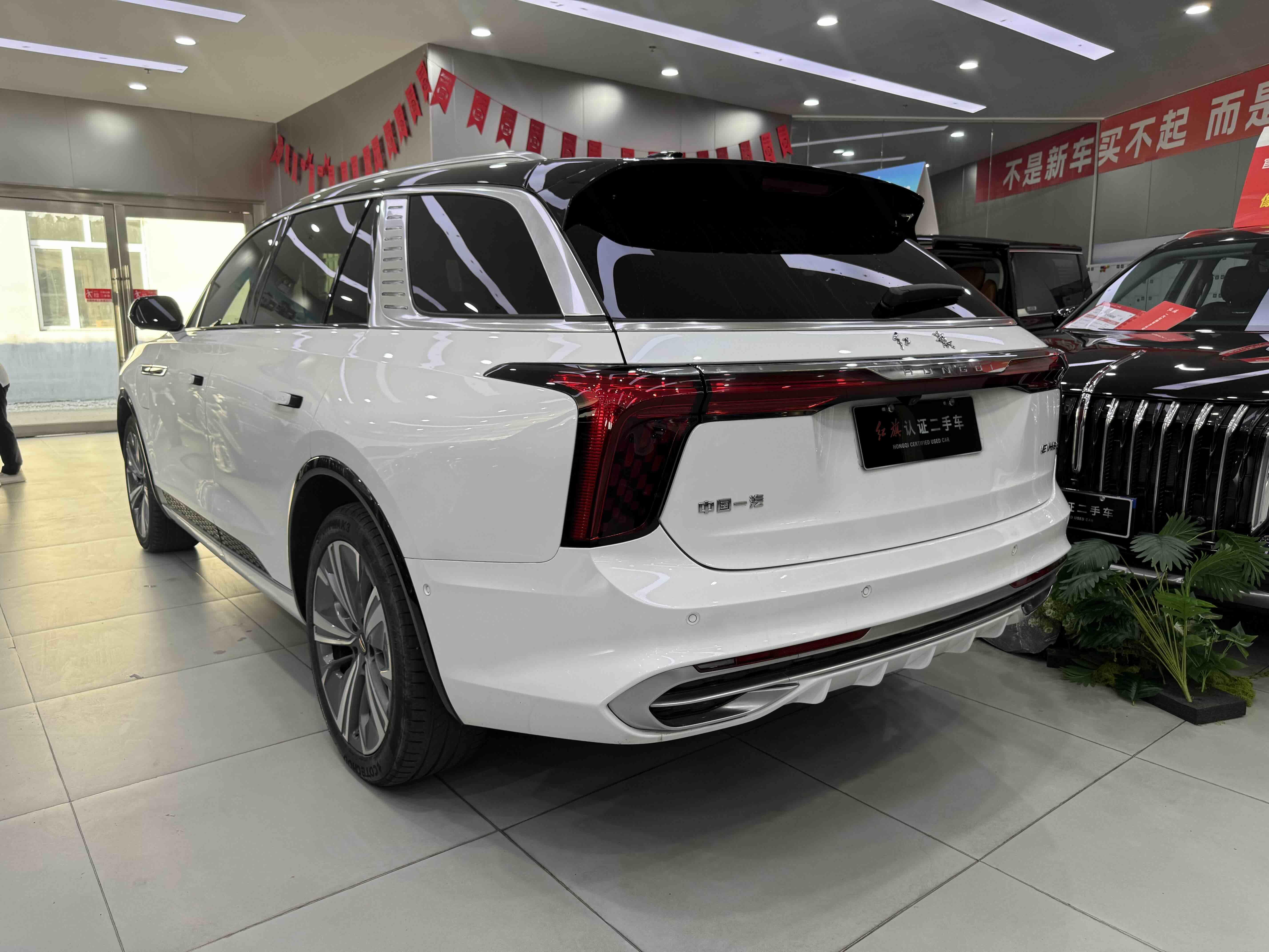 Hongqi E-HS9 2020 thumb 12