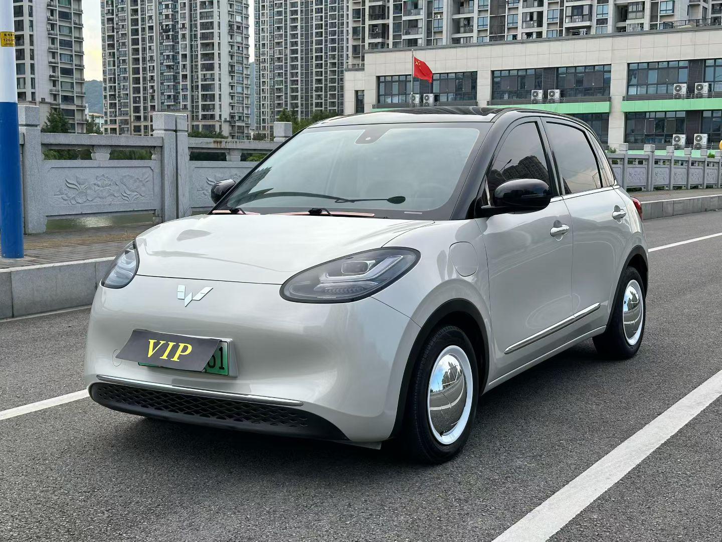 Wuling Bin Guo 2023 thumb 8