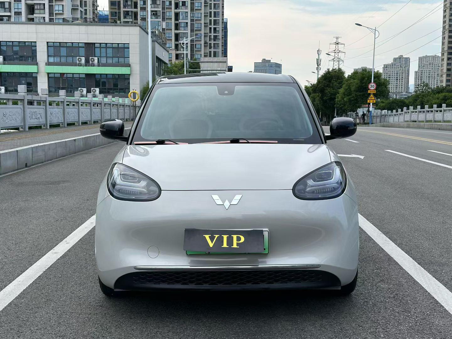 Wuling Bin Guo 2023 thumb 9