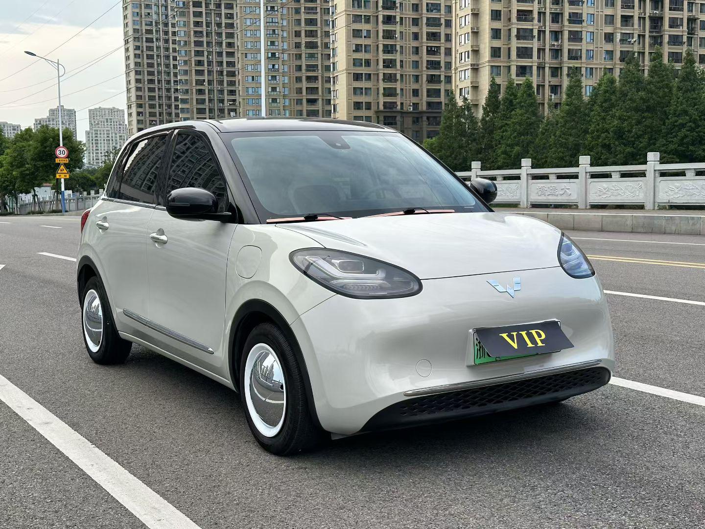 Wuling Bin Guo 2023 thumb 10