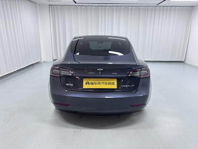 Tesla Model 3 2020 thumb 4
