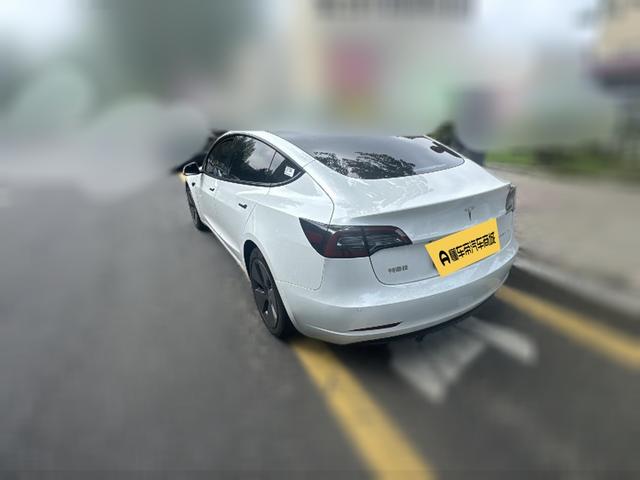 Tesla Model 3 2021 thumb 2
