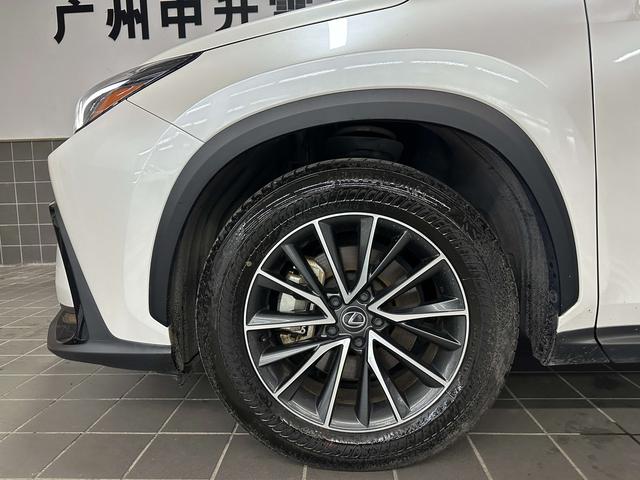 Lexus NX 2023 thumb 6