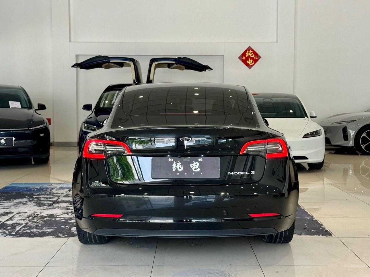 Tesla Model 3 2022 thumb 4