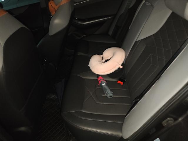 Changan Raeton Plus 2023 thumb 10