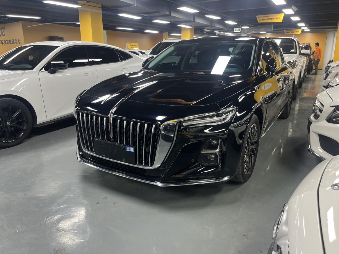 Hongqi H5 2024 thumb 8