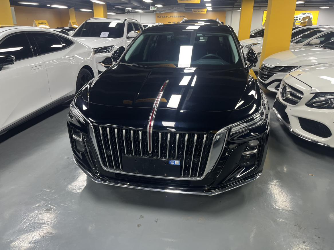 Hongqi H5 2024 thumb 9