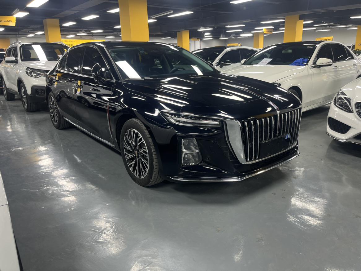 Hongqi H5 2024 thumb 10
