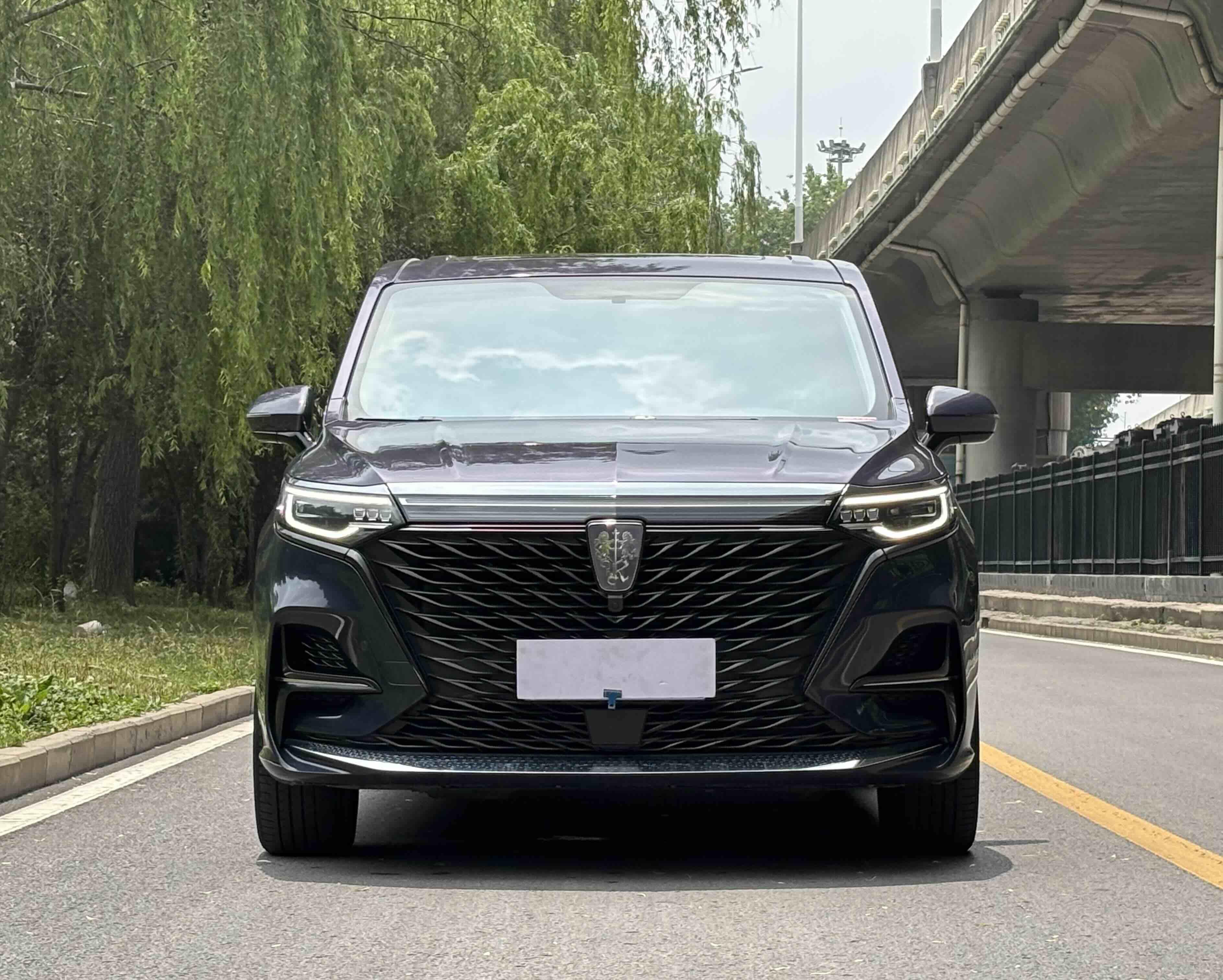 Roewe iMAX8 2021 thumb 9