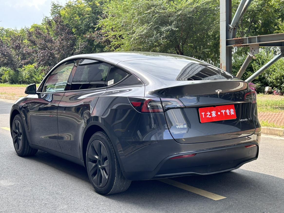 Tesla Model Y 2024 thumb 3