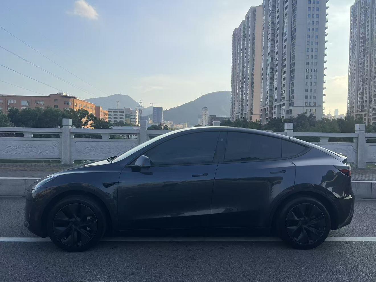Tesla Model Y 2024 thumb 2