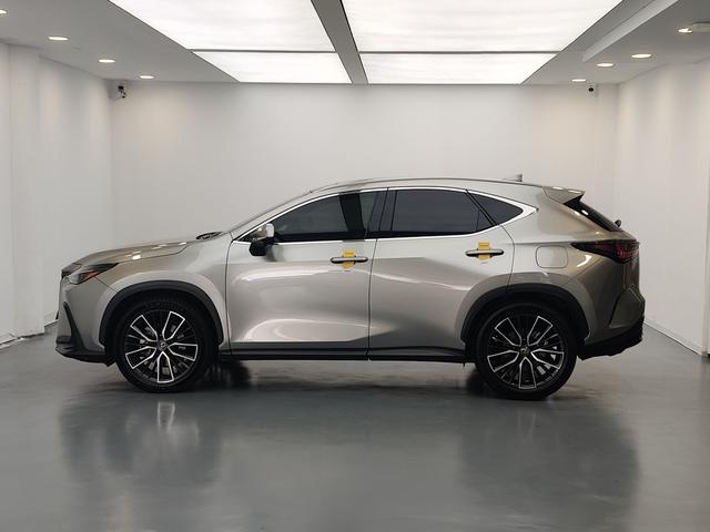 Lexus NX 2022 thumb 2