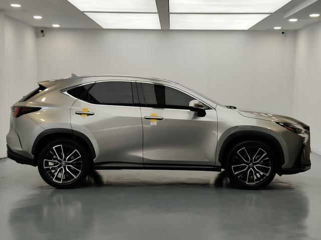 Lexus NX 2022 thumb 6