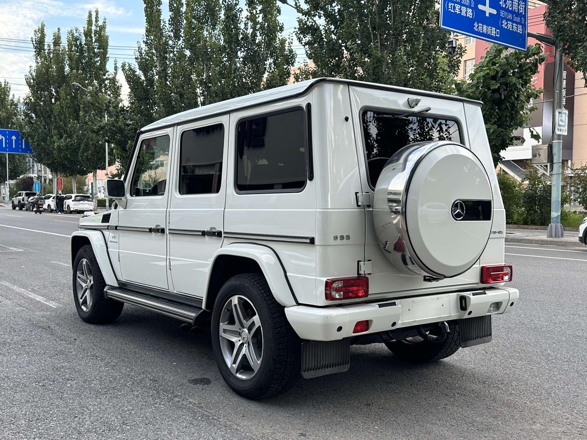 Mercedes-Benz G-Класс 2009 thumb 3