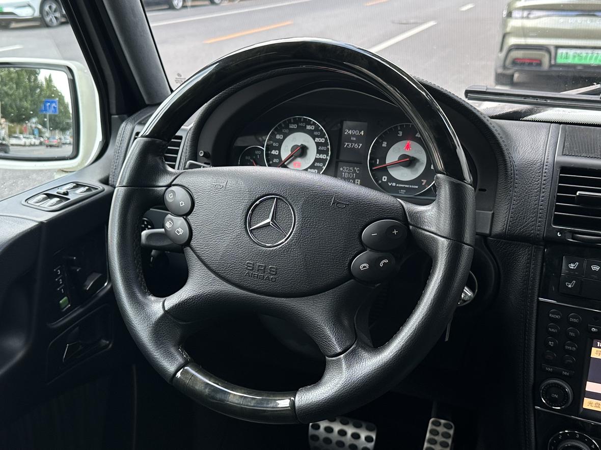 Mercedes-Benz G-Класс 2009 thumb 10