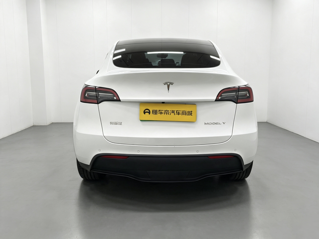Tesla Model Y 2022 thumb 4