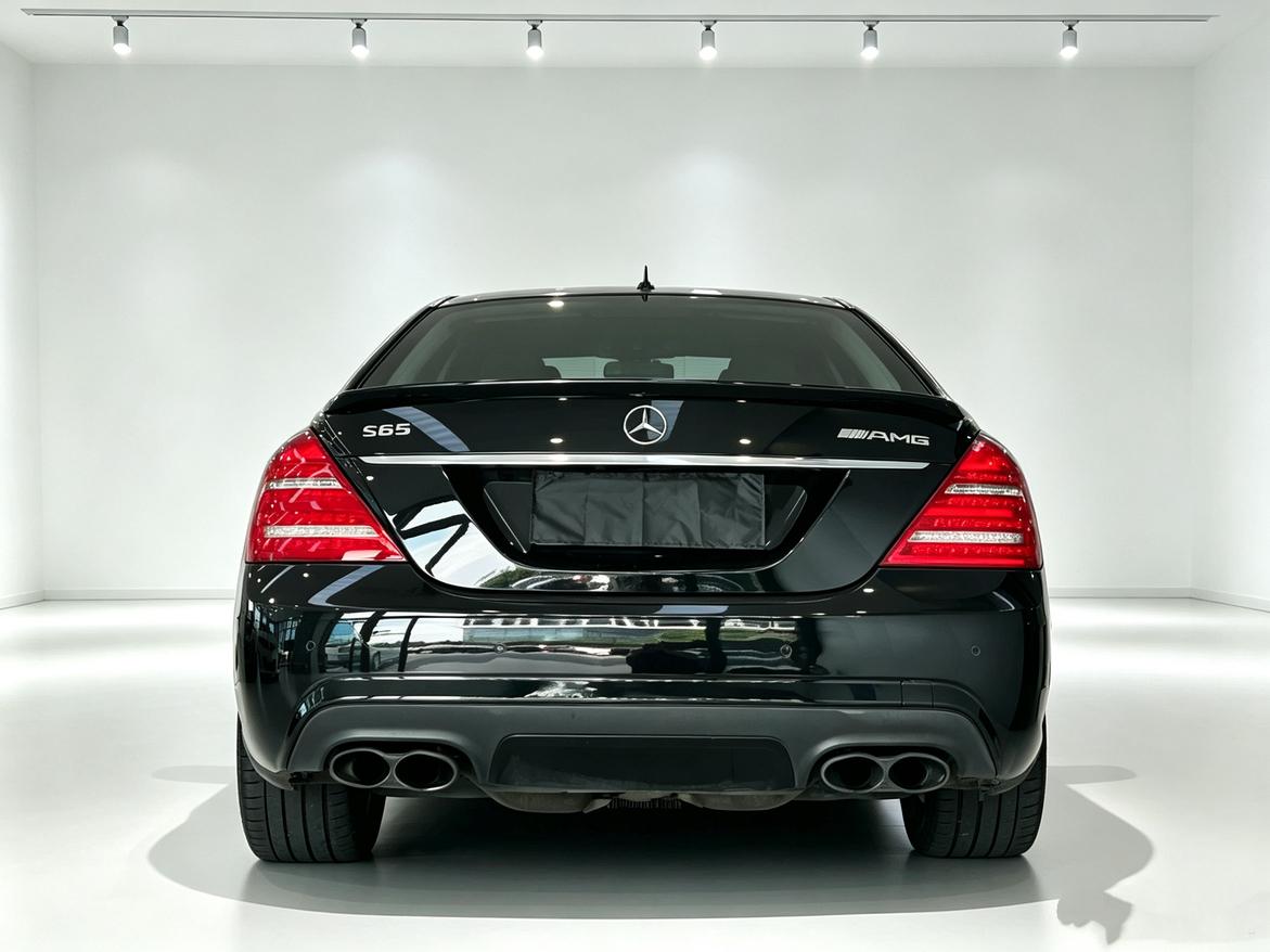 Mercedes-Benz S-Класс 2010 thumb 3