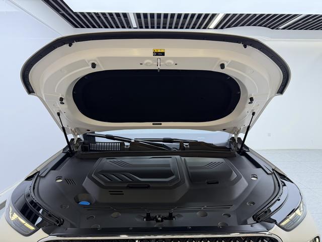 Chery Tiggo 8 PLUS C-DM 2025 thumb 8