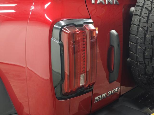 Tank 300 2021 thumb 11