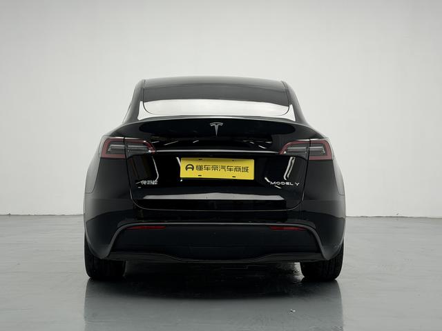 Tesla Model Y 2022 thumb 4