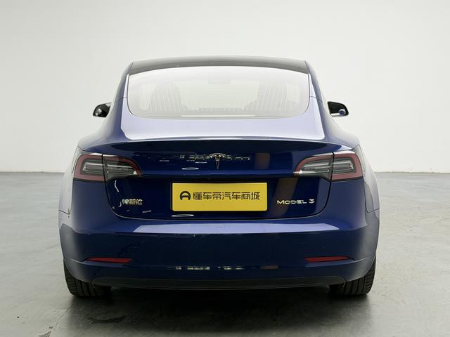 Tesla Model 3 2020 thumb 4