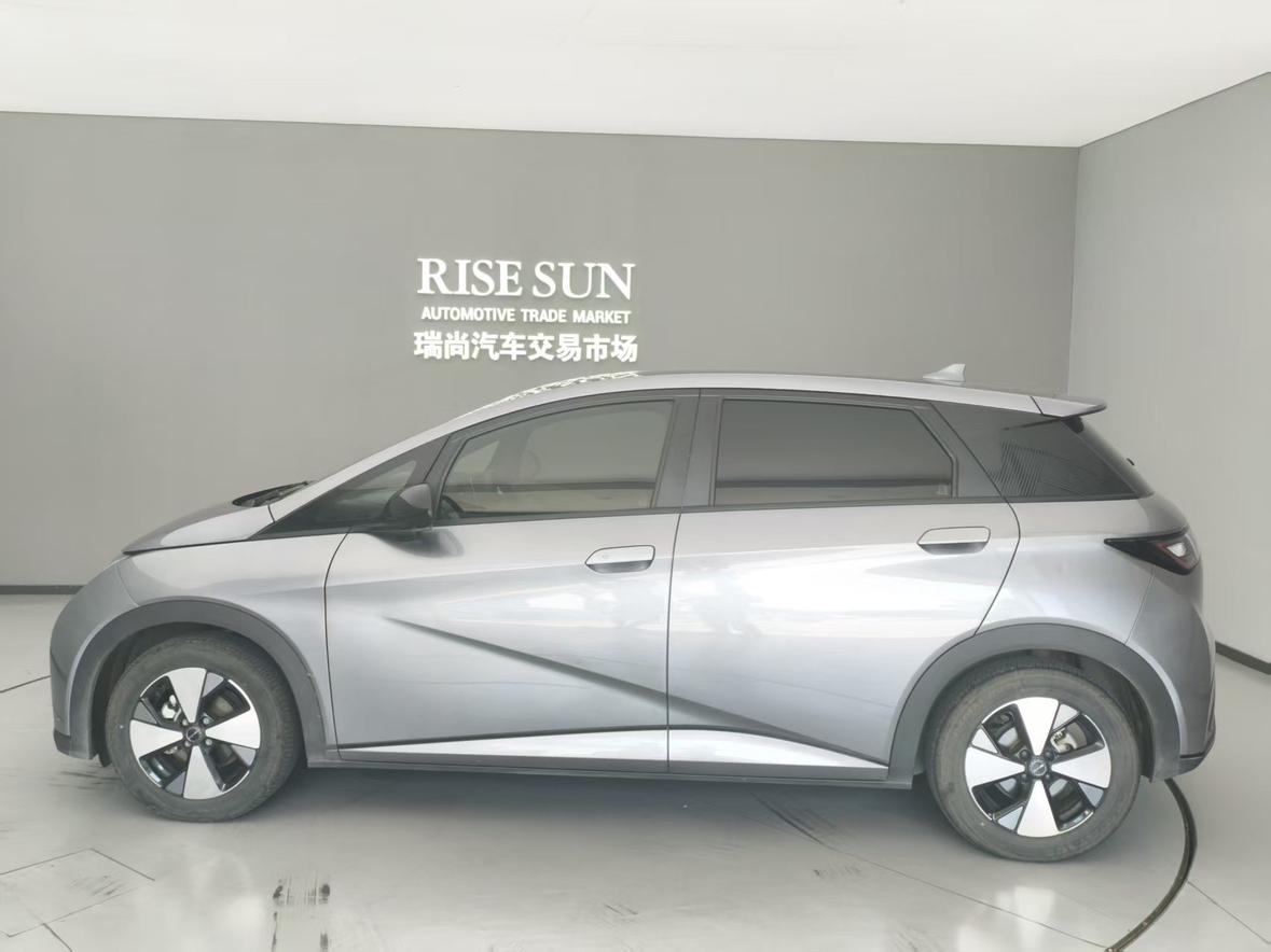 BYD Dolphin 2023 thumb 2
