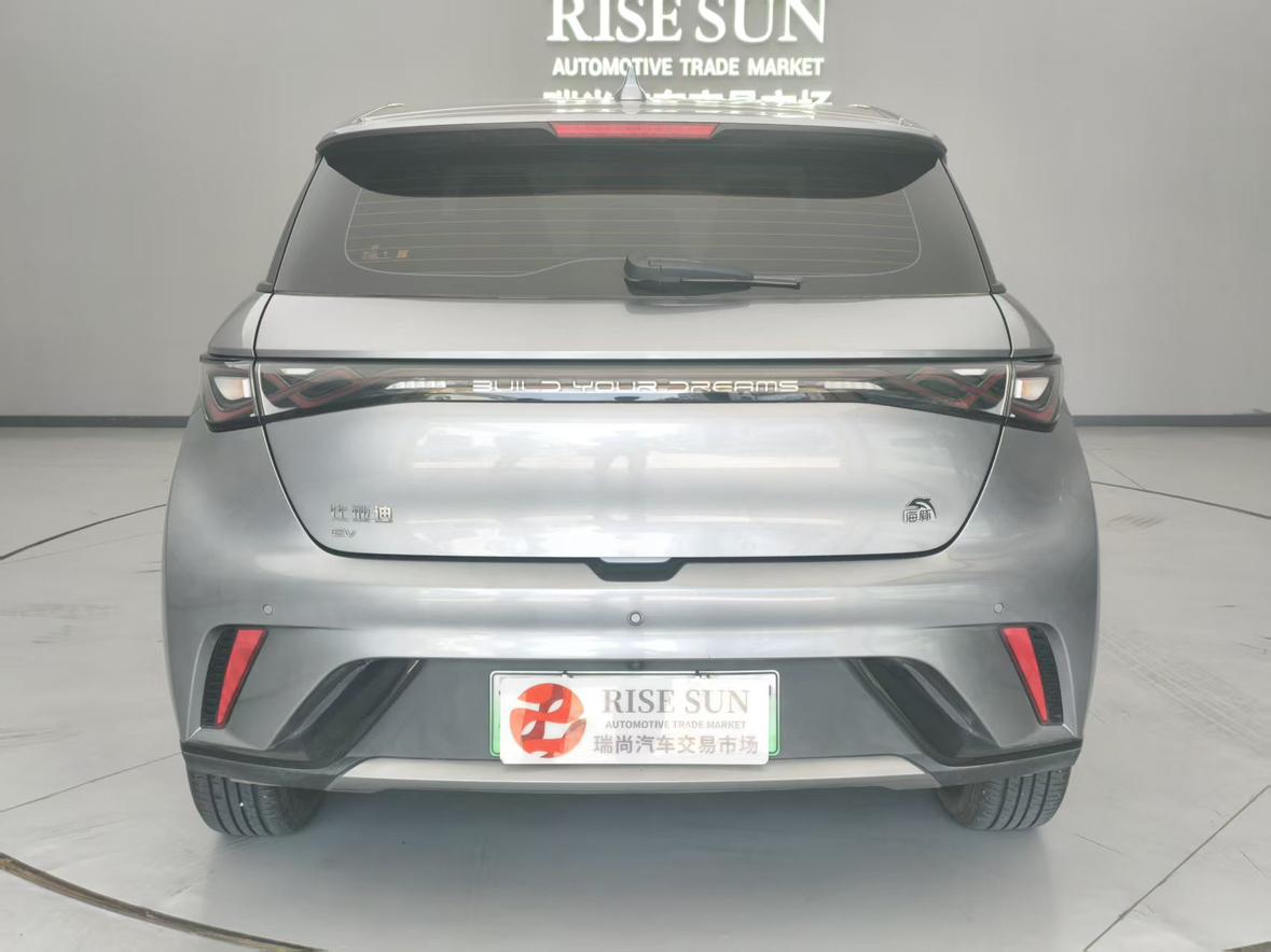 BYD Dolphin 2023 thumb 4