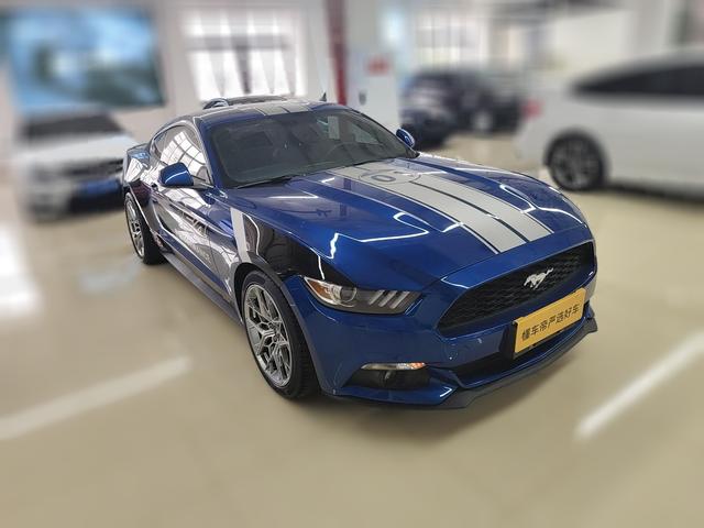 Ford Mustang Mach-E 2017 thumb 12