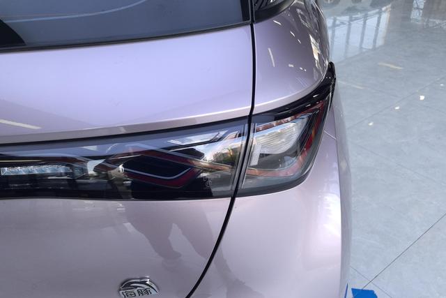 BYD Dolphin 2021 thumb 2
