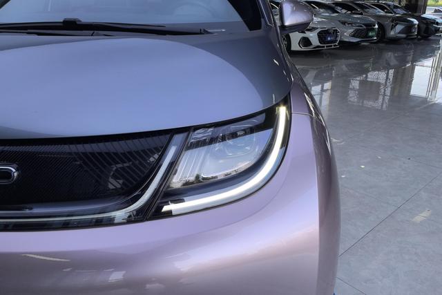 BYD Dolphin 2021 thumb 6