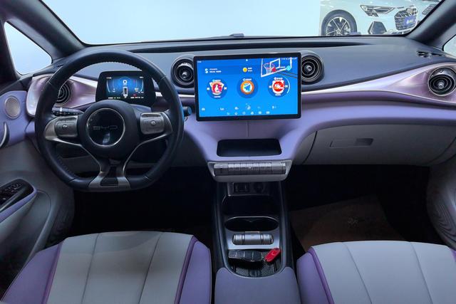 BYD Dolphin 2021 thumb 10