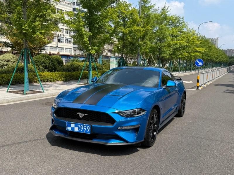Ford Mustang Mach-E 2019 thumb 8